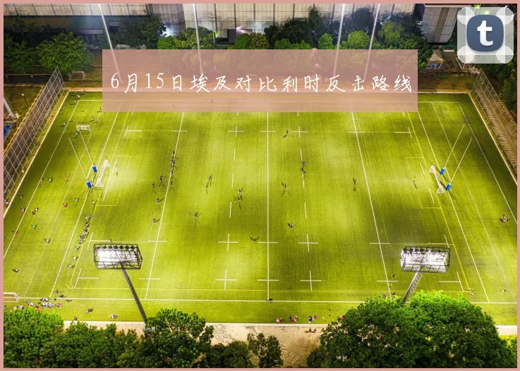 6月15日埃及对比利时反击路线