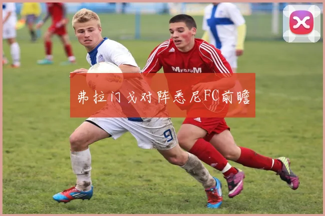 弗拉门戈对阵悉尼FC前瞻