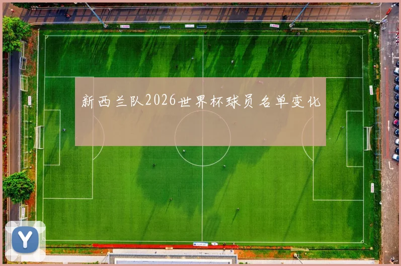 新西兰队2026世界杯球员名单变化