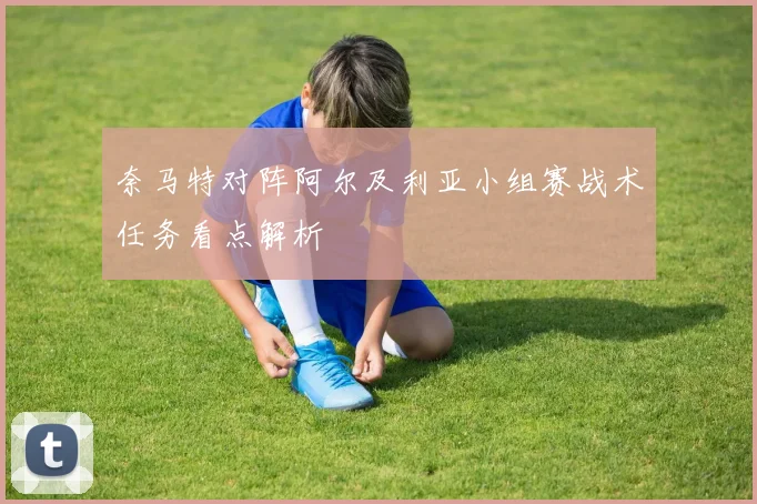奈马特对阵阿尔及利亚小组赛战术任务看点解析