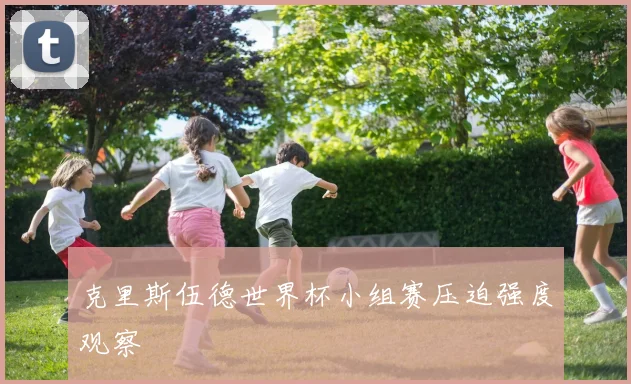 克里斯伍德世界杯小组赛压迫强度观察